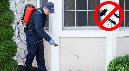Bolvadin Bit İlaçlama böcek ilaçlama ve haşere kontrolü — ilaclama-tr.com